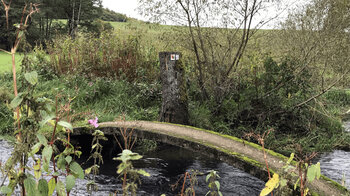 Bogenbrücke über den Eichelbach