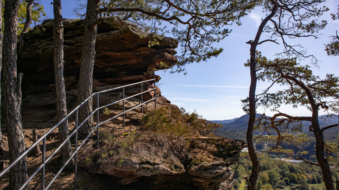 auf dem Hochplateau des Hochstein-Massivs behaupten sich Kiefern