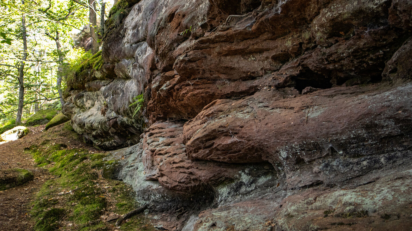 Wanderpfad amFelsenriff des Westlichen Schützenfelsens