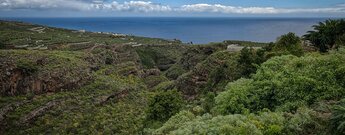 Camino Real de la Costa y Medianías bei Puntallana