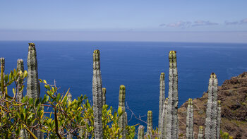 Küstenimpressionen am GR 130 auf La Palma