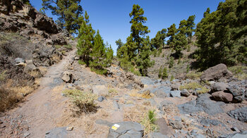 Wanderweg im Barranco de Izcagua