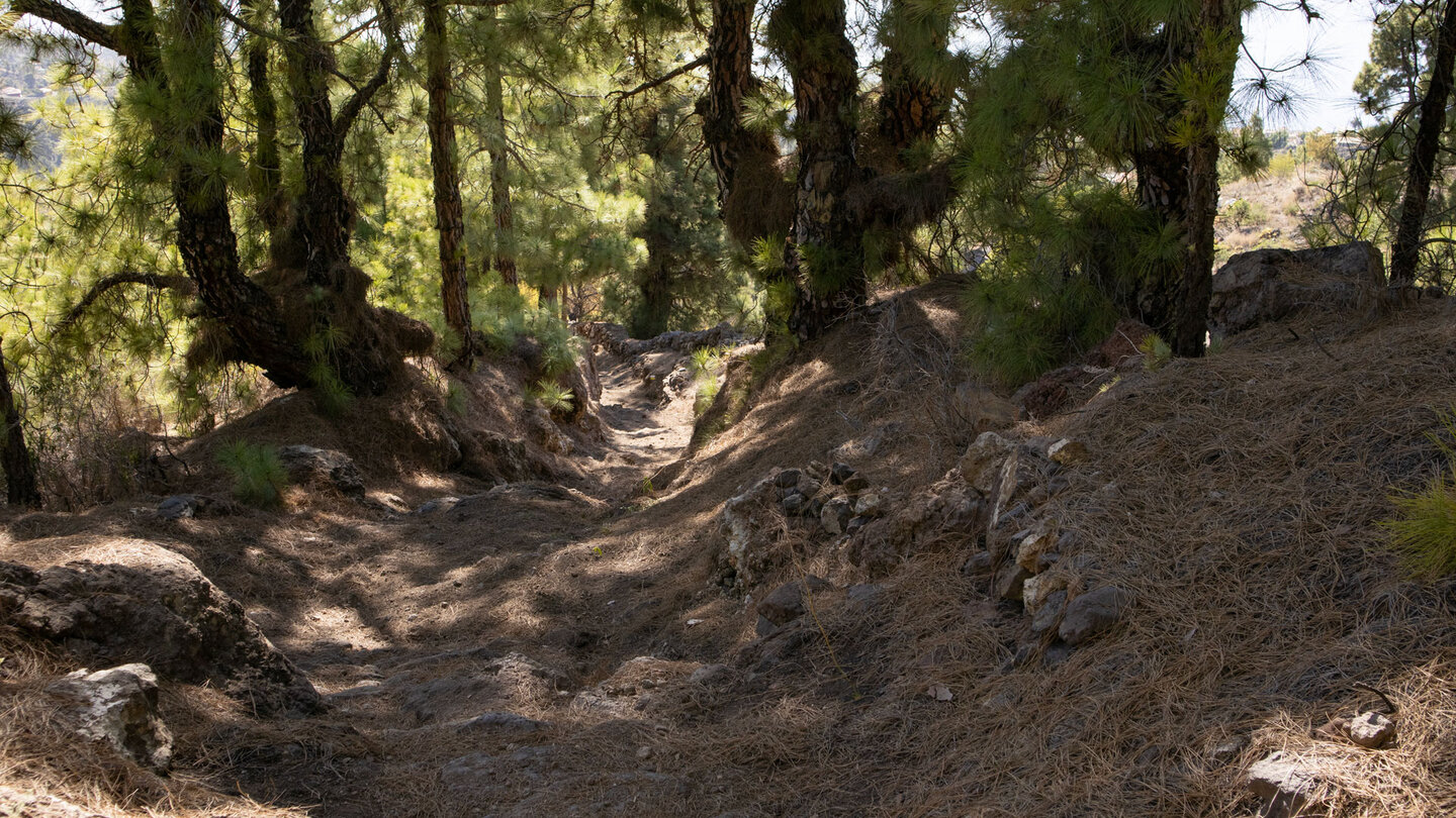 Wanderweg durch den Kiefernwald oberhalb Tijarafe