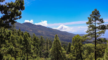 Blick über die Berghänge im Westen der Insel La Palma
