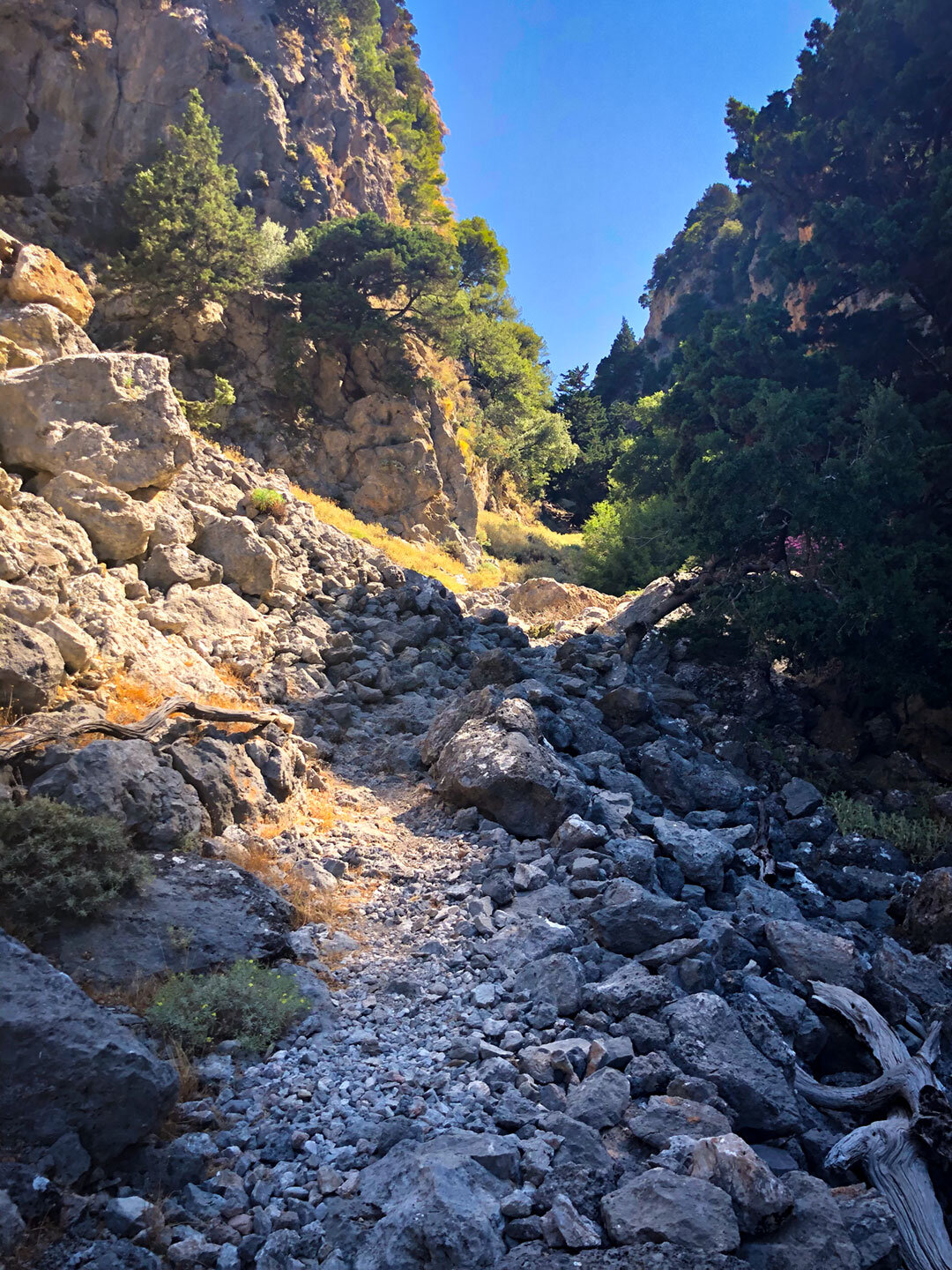 felsiger Wanderpfad durch die Figou-Schlucht in den Lefka Ori Wanderpfad durch die Figou-Schlucht in den Lefka Ori