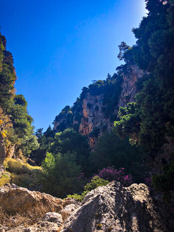 unberührtes Naturparadies Figou-Schlucht