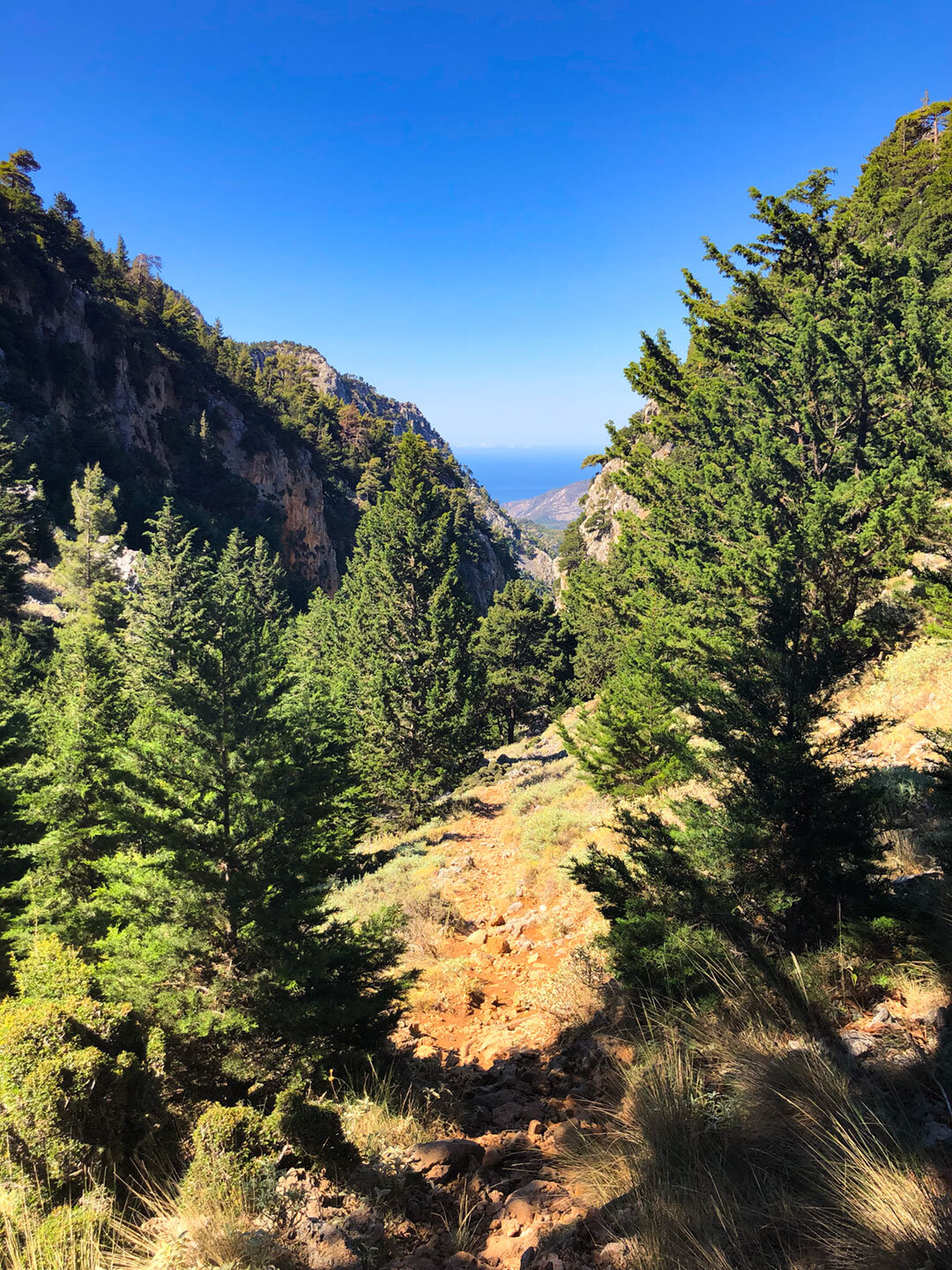 malerischer Wanderpfad am Eingang der Figou-Schlucht auf Kreta malerischer Wanderpfad in der Figou-Schlucht