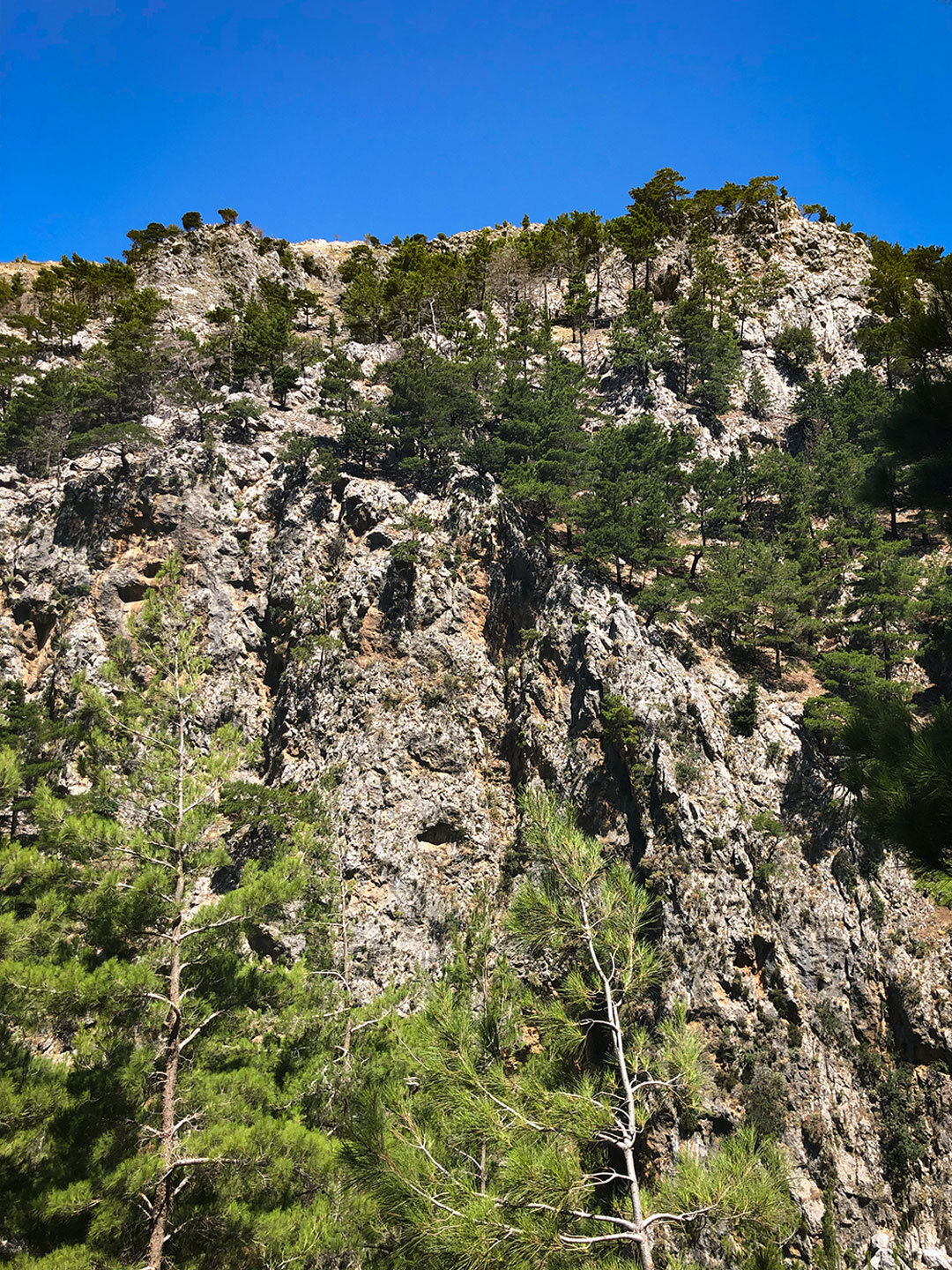 steile Berghänge über der Agia Irini-Schlucht Berghänge über der Agia Irini-Schlucht