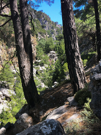 Agia Irini-Schlucht – eine der schönsten Schluchten Kretas