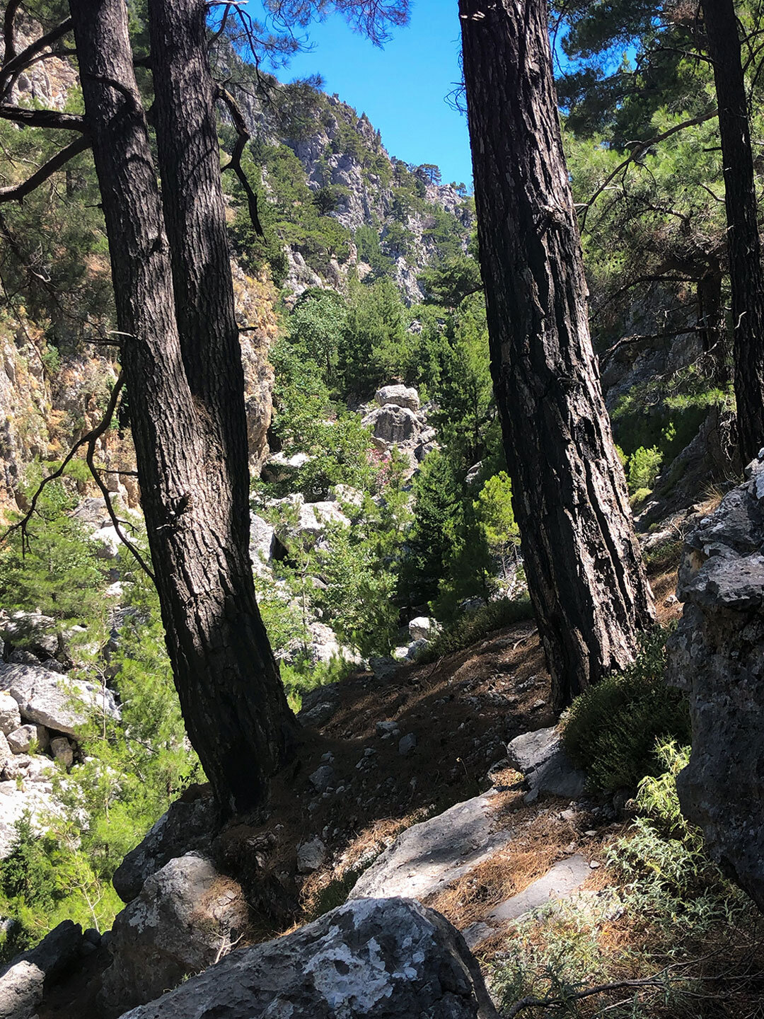 die Agia Irini-Schlucht gilt als eine der schönsten Schluchten Kretas Agia Irini-Schlucht – eine der schönsten Schluchten Kretas
