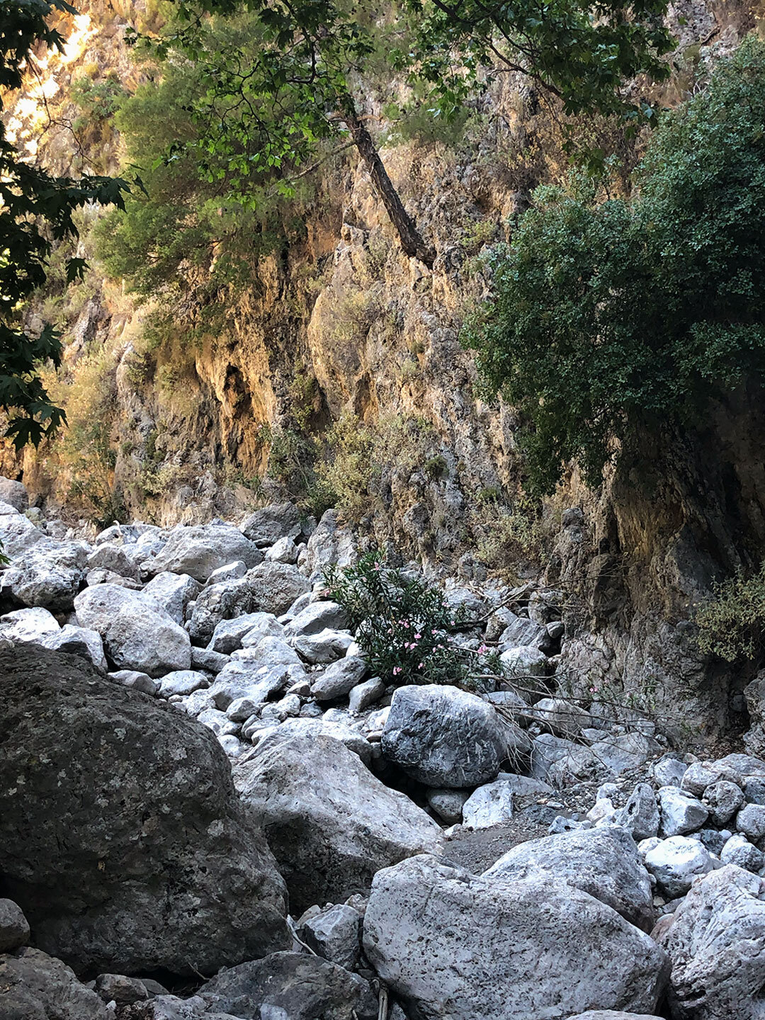 die Route quert mehrfach das wilde Trockenbachbett der Agia Irini-Schlucht die Route quert mehrfach das Bachbett der Agia Irini-Schlucht