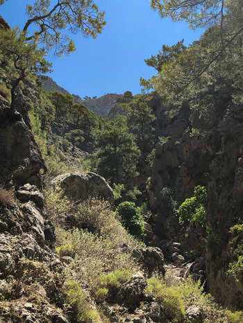 Flora und Fauna machen die Wanderung durch die Agia Irini-Schlucht zu einem Erlebnis