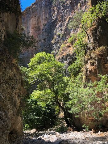 steil aufragende Felswände prägen die Agia Irini-Schlucht