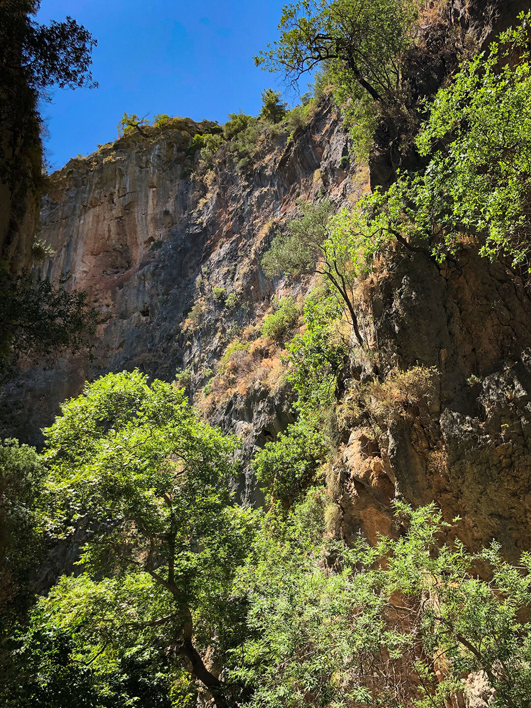 die imposanten Felswände der Agia Irini-Schlucht ziehen Wanderer in ihren Bann die Felswände der Agia Irini-Schlucht ziehen Wanderer in ihren Bann