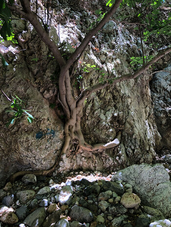 beeindruckende Natur auf einer Schluchtenwanderung in Westkreta