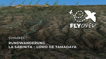Spektakuläre Felsschluchten im Süden Teneriffas: Die Tamadaya-Runde ab La Sabinita im 3D-Flyover