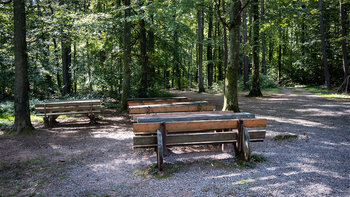 Rastplatz bei der die Klettererhütte am Asselstein