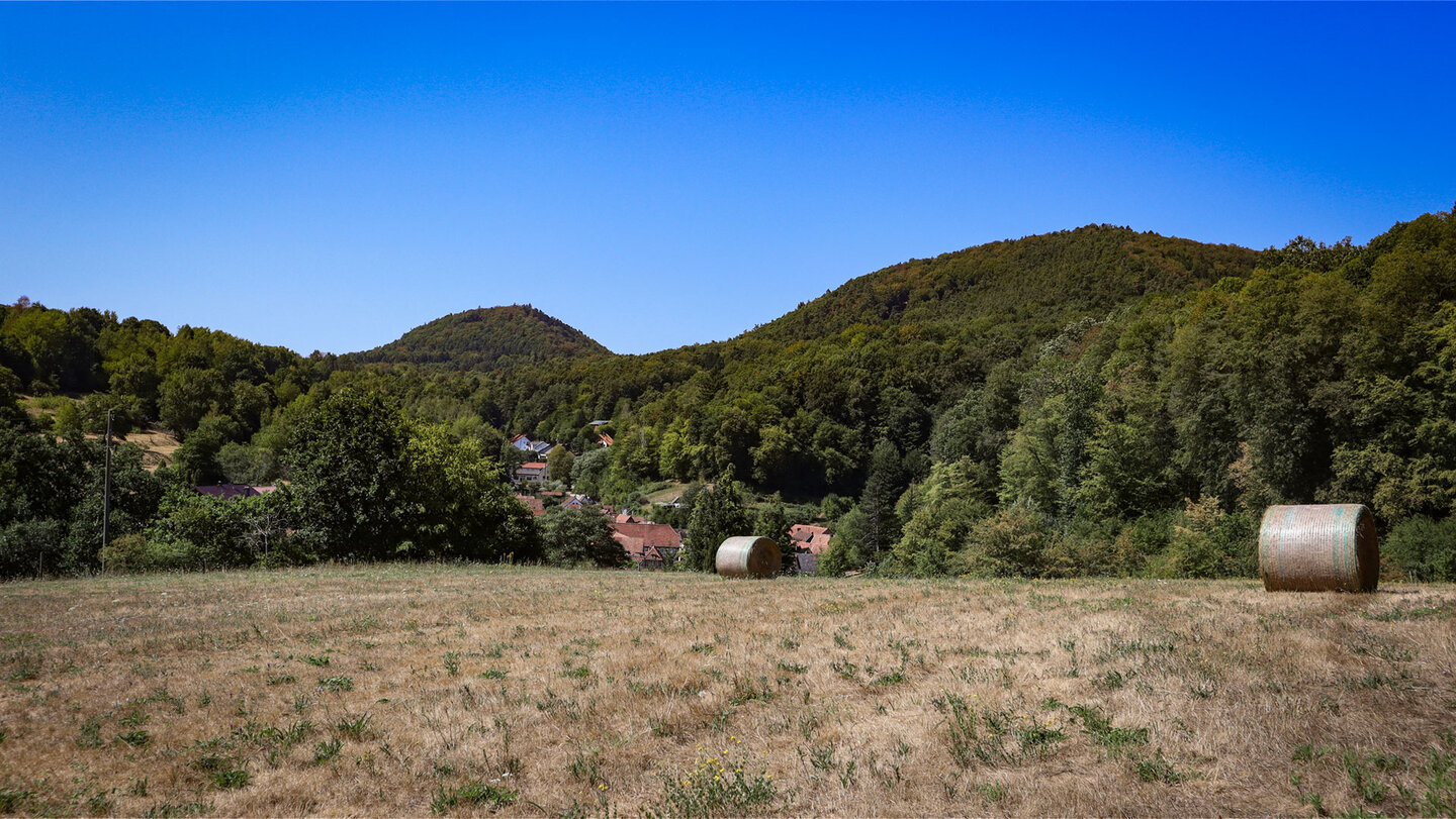 Oberschlettenbach zwischen Streuobstwiesen und Waldhängen.