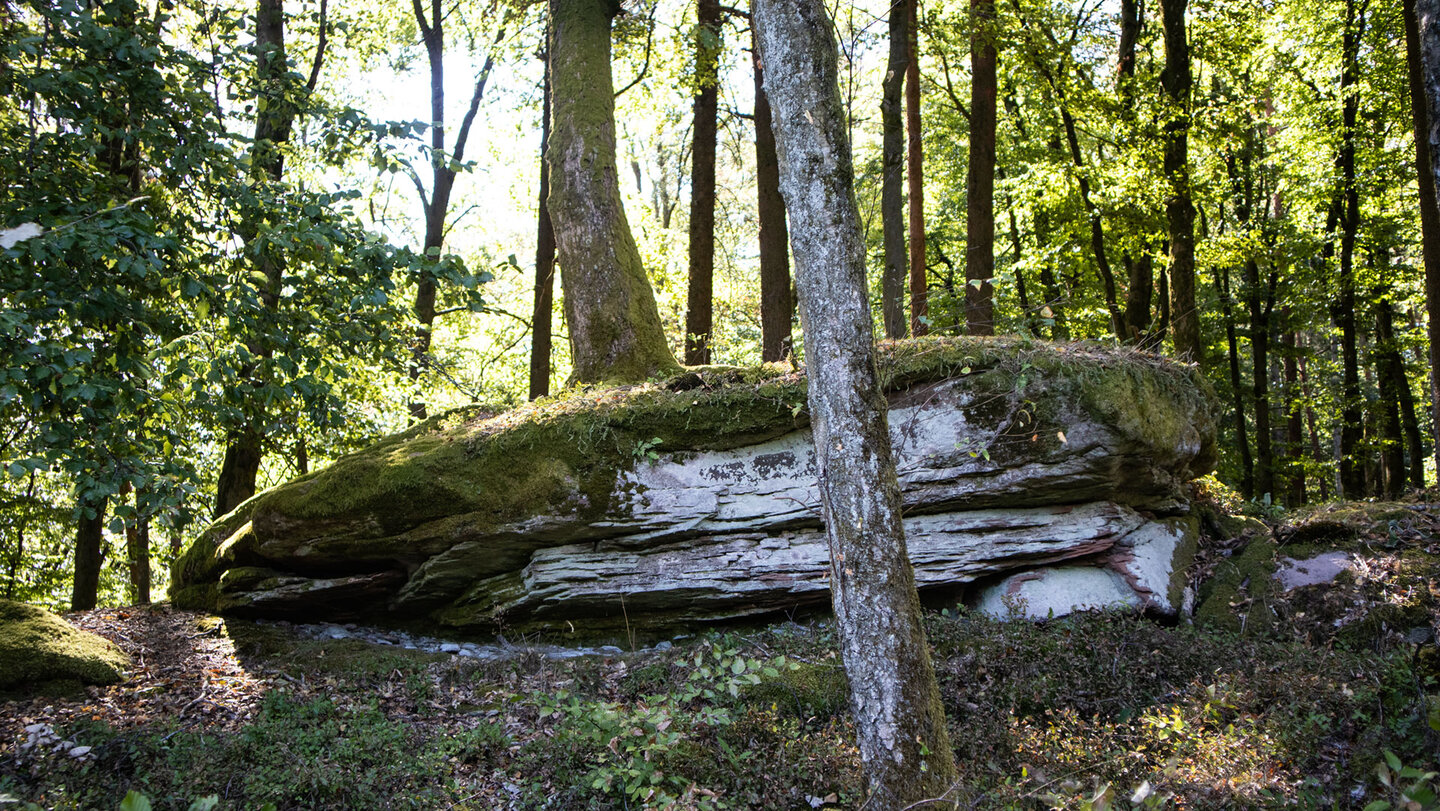 Moosüberzogener Buntsandstein am Schindberg
