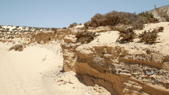 die Wanderung führt durchs Barranco del Rinconcillo