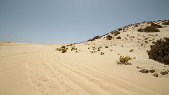 Wegabschnitt durch die Sandwüste