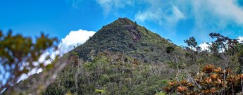 Black River Peak oder Piton de la Petite Rivière Noire