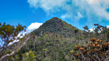 Black River Peak oder Piton de la Petite Rivière Noire