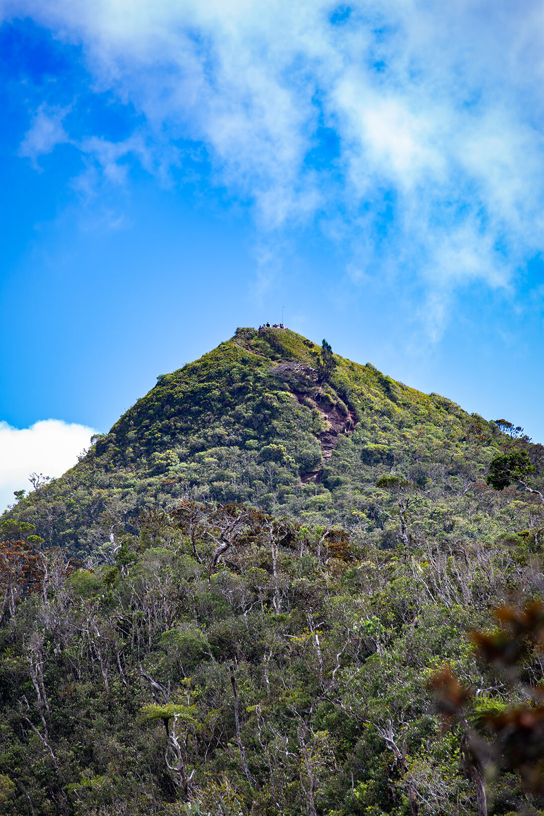 Gipfel des Piton de la Petite Rivière Noire auch Black River Peak