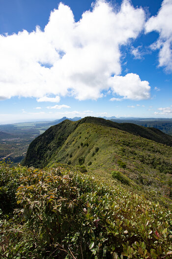 Gipfelgrad am Piton de la Petite Rivière Noire