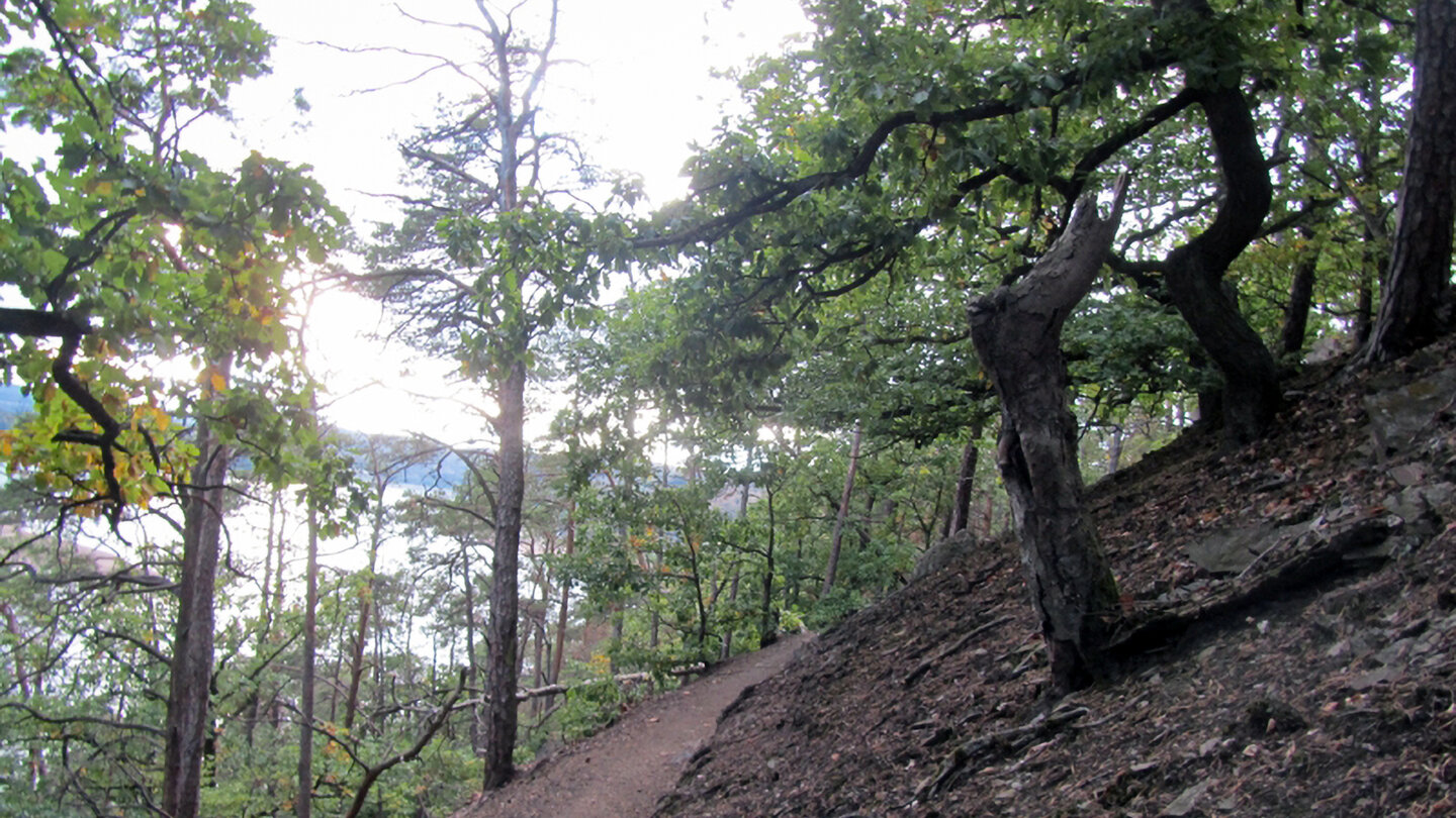 Wanderpfad bei Waldeck