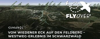 Vom Wiedener Eck zum Feldberg: Westweg-Erlebnis im Schwarzwald – Flyover