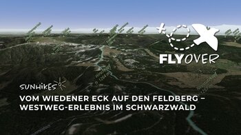 Vom Wiedener Eck zum Feldberg: Westweg-Erlebnis im Schwarzwald – Flyover