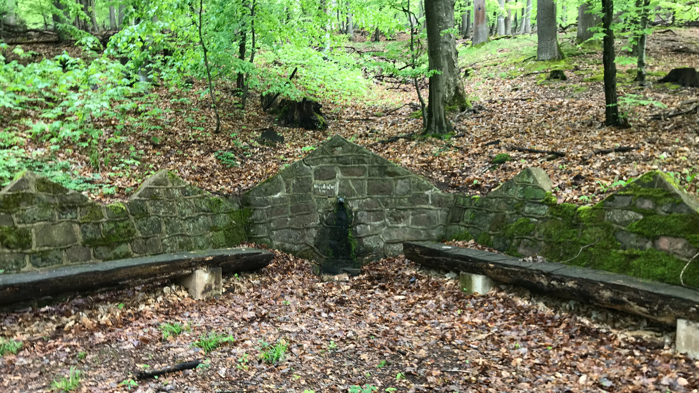 ein kleiner Rastplatz an der Quelle Neuschäfersborn