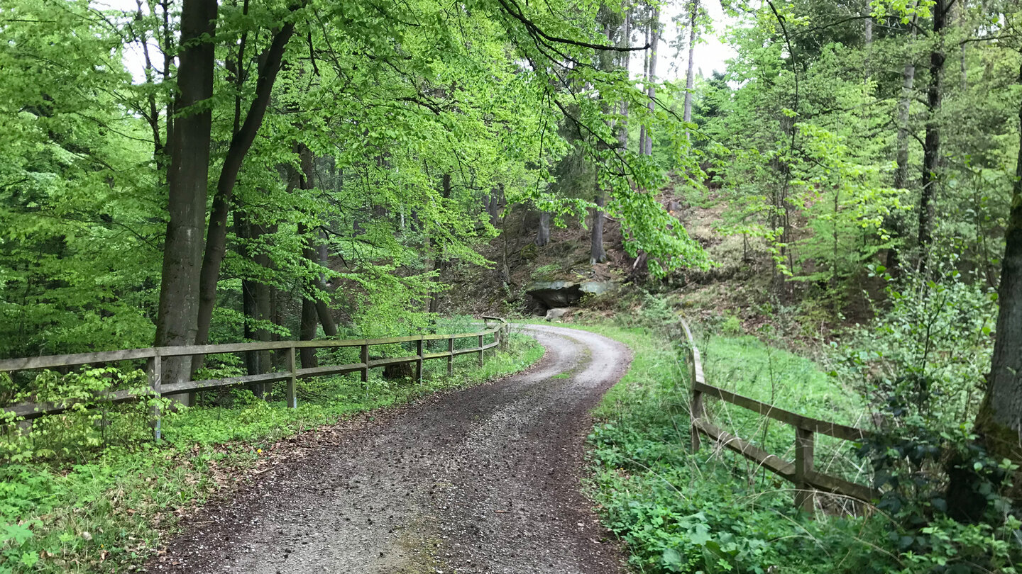 breiter Wanderweg