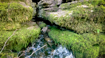 Wasser sprudelt aus den Kalkfelsen beim Wutachaustritt