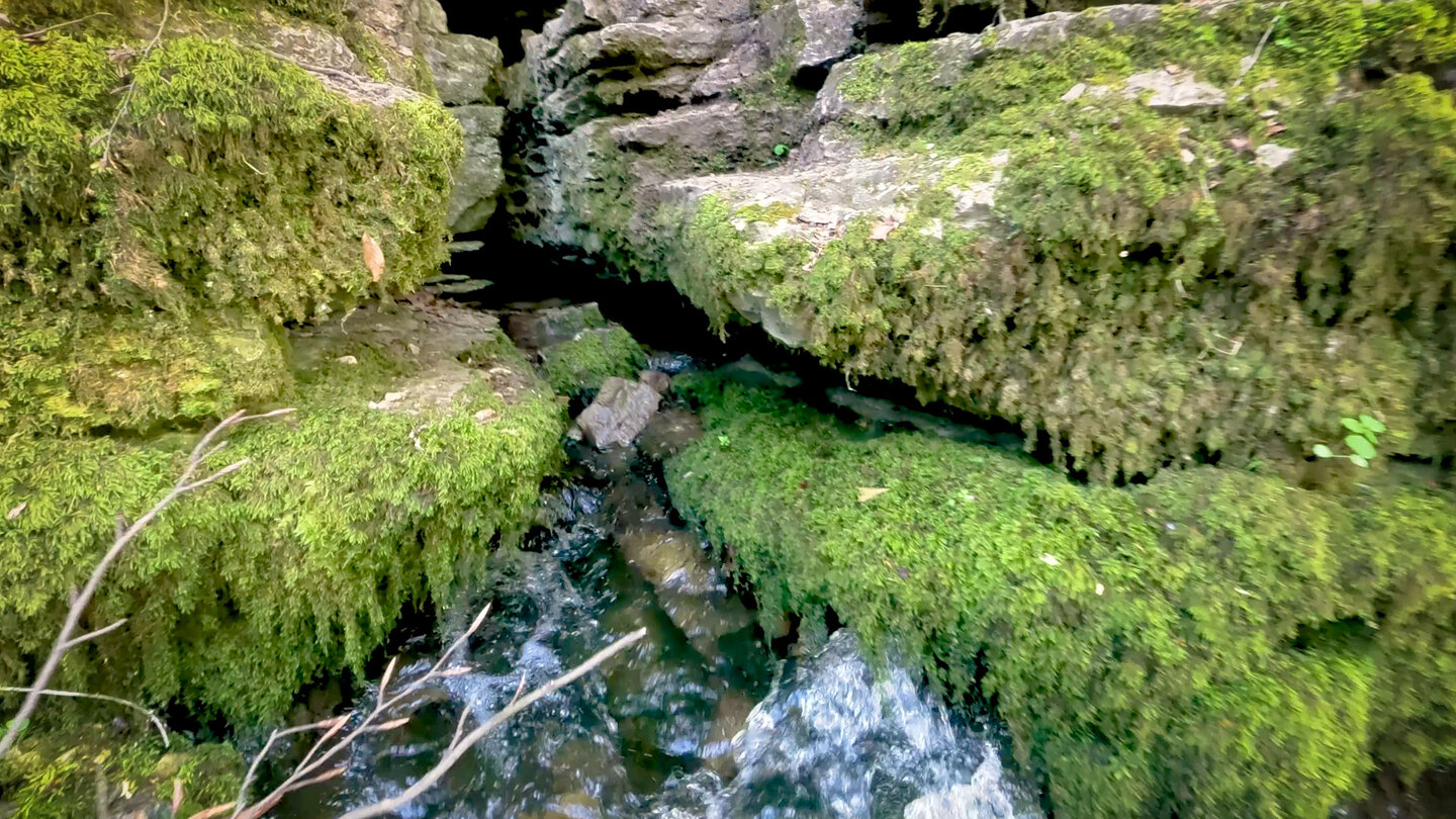 Wasser sprudelt aus den Kalkfelsen beim Wutachaustritt