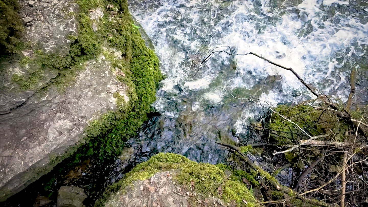 moosbewachsene Felsen am Wutachaustritt