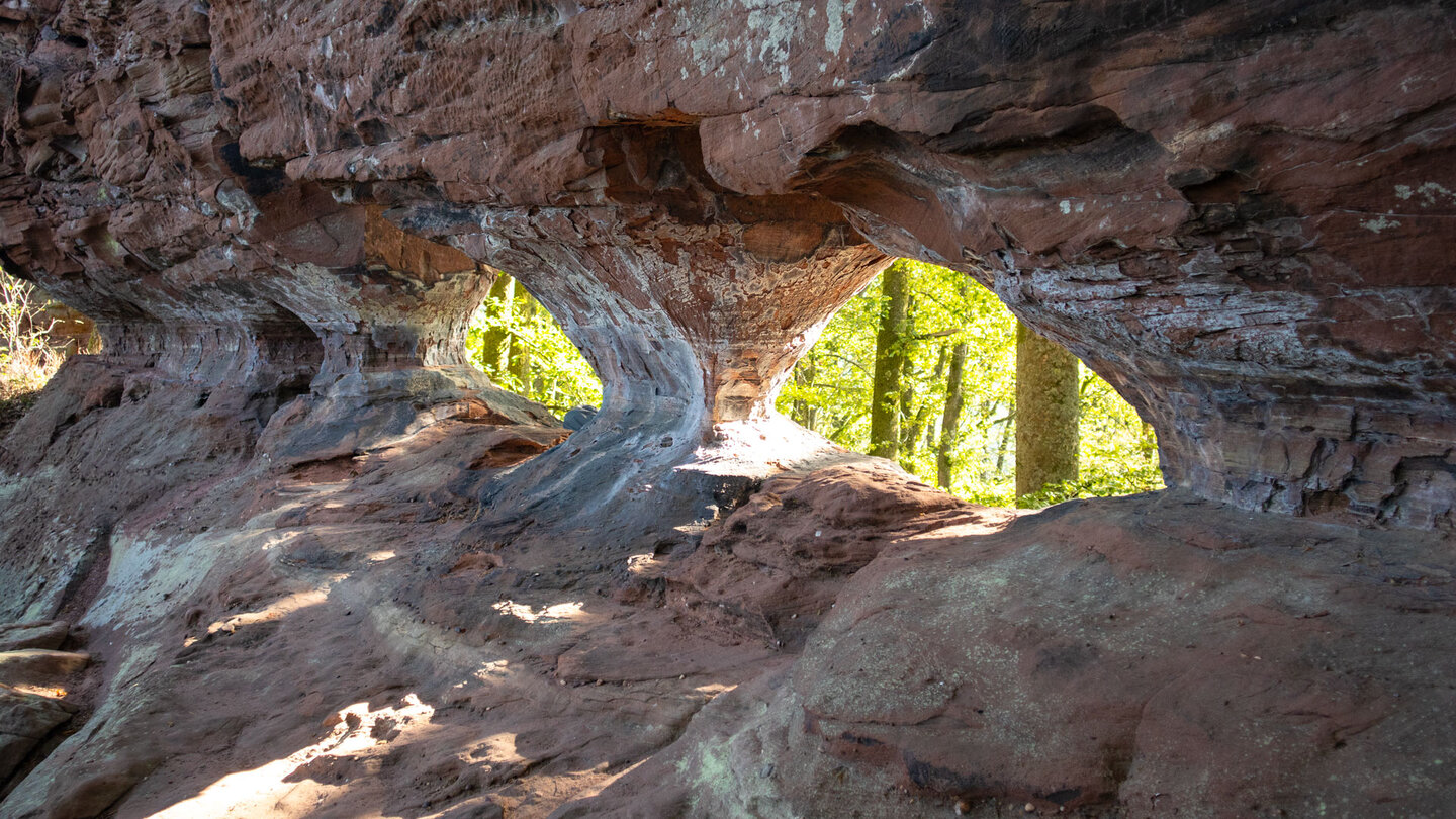 Fenster im Buntsandstein des Erbsenfelsen