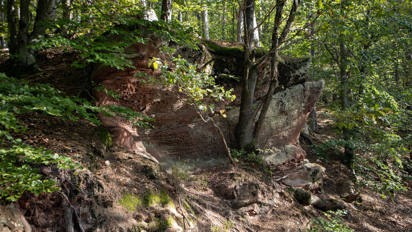 Sandsteingebilde am Wanderweg zwischen Erbsenfelsen und Waldeck