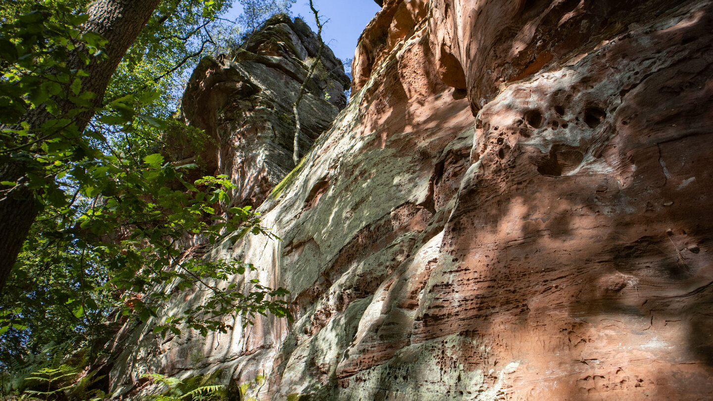 das langgestreckte Sandsteinriff des Erbsenfelsens