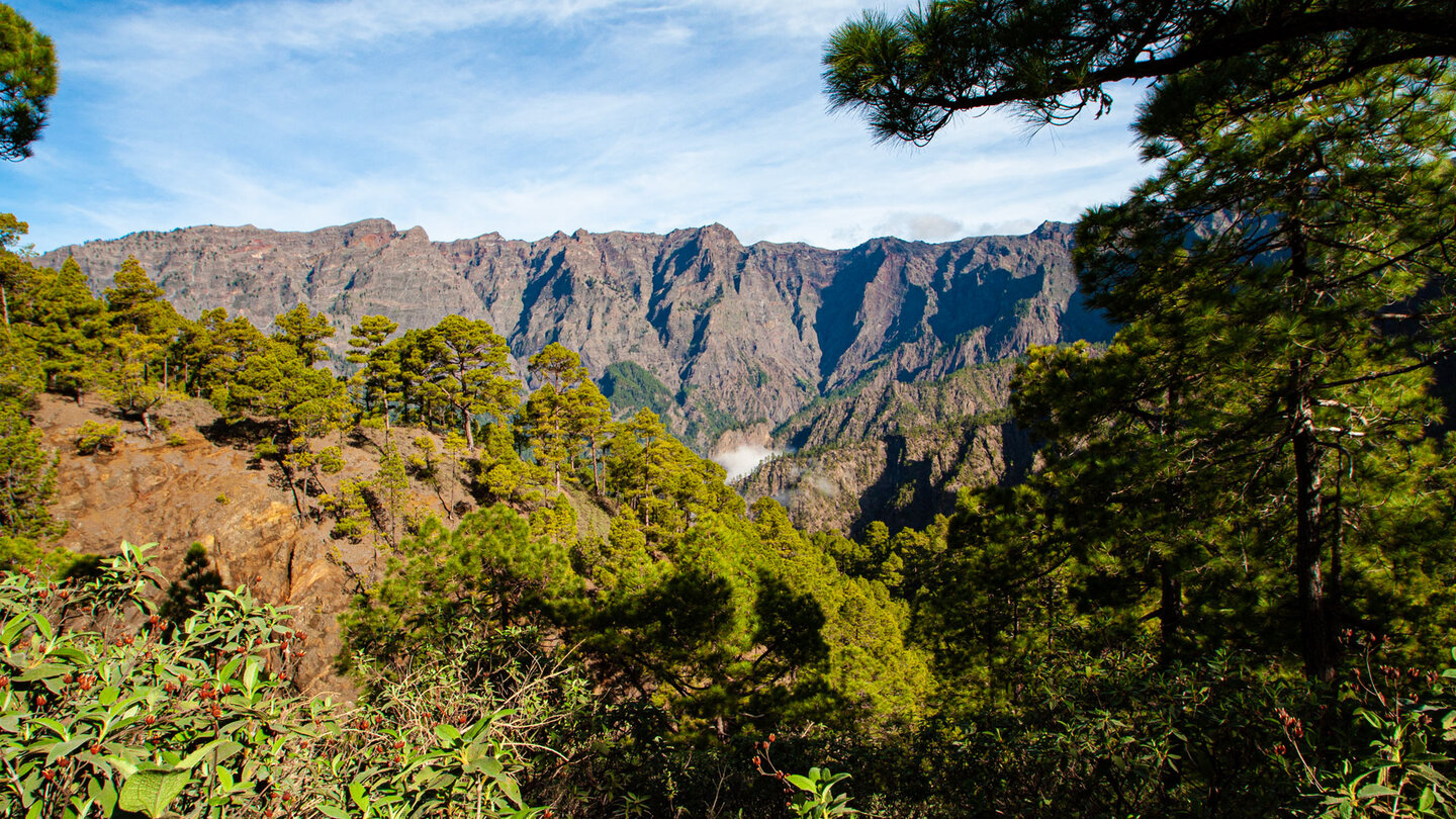 kieferbewachsene Berggrate an der Caldera de Taburiente