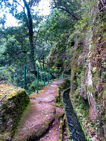 Wanderweg an der Levada do Moinho