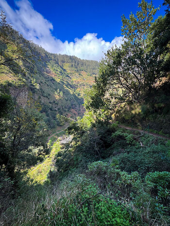Kanalwanderweg Levada do Moinho im Tal Ribeira da Ponta do Sol