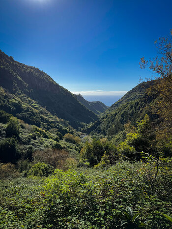 Wanderweg entlang der Levada do Moinho auf Madeira