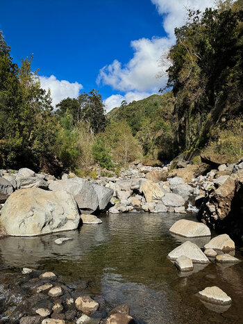 Bachlauf Ribeiro da Ponta do Sol auf Madeira