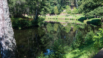 Mühlweier bei Eppenbrunn im Pfälzerwald