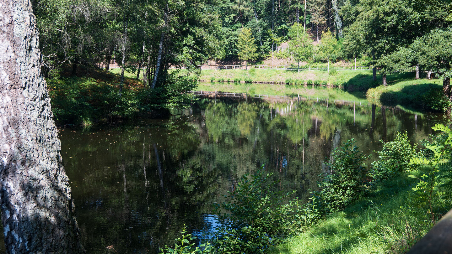 Mühlweier bei Eppenbrunn im Pfälzerwald