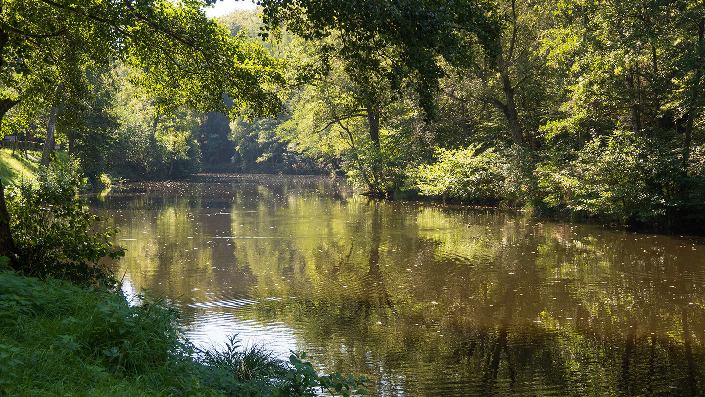der Mühlweier liegt im Naturschutzgebiet bei Eppenbrunn