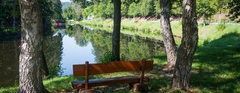 Rastplatz am Mühlweier bei Eppenbrunn in der Pfalz