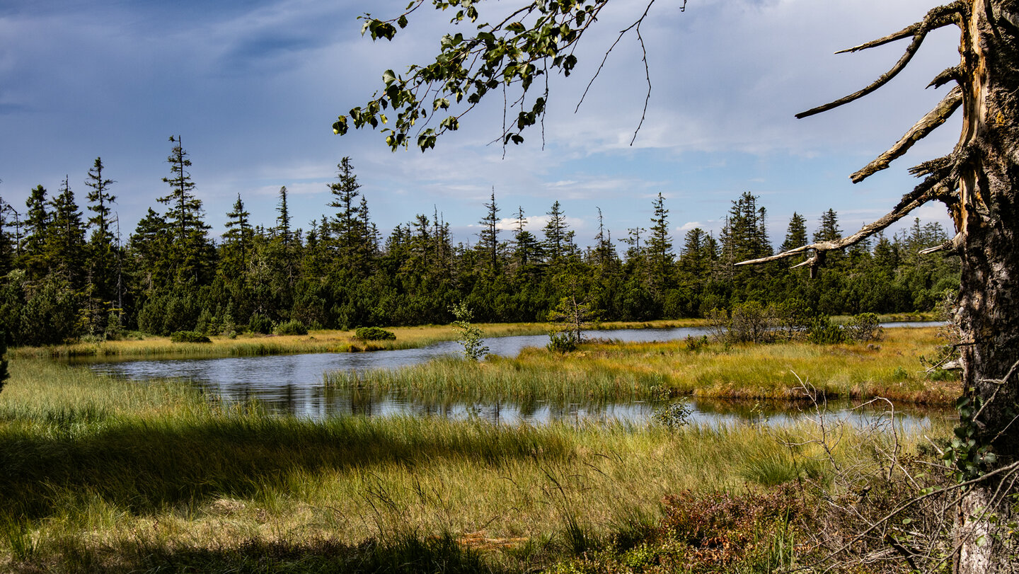 der Große Hohlohsee im Hochmoorgebiet
